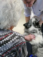 mediation animale CHRU Nancy 04