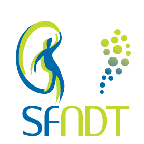 logo-sfndt