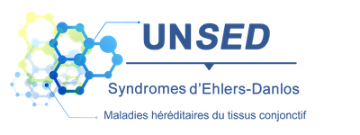 logo-unsed-petit